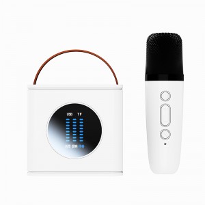 D15 Family Karaoke Audio Portable Wireless Bluetooth Speaker With Wireless Microphone