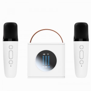 D15 Family Karaoke Audio Portable Wireless Bluetooth Speaker With Wireless Microphone