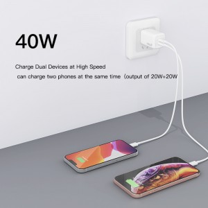 PD040A 40W Dual USB-C Ports PD Charger for iPhone14/13/12,iPad,AirPods, and your MacBook Air