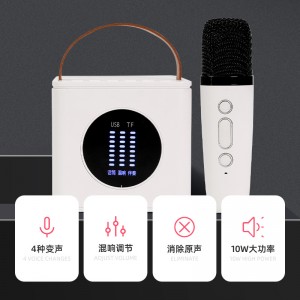 D15 Family Karaoke Audio Portable Wireless Bluetooth Speaker With Wireless Microphone