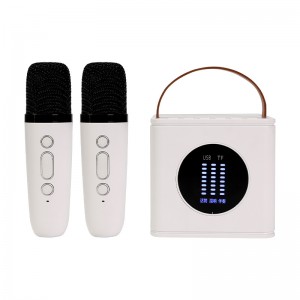 D15 Family Karaoke Audio Portable Wireless Bluetooth Speaker With Wireless Microphone