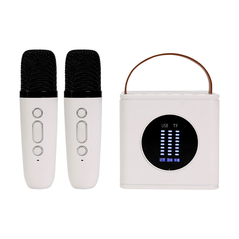D15 Family Karaoke Audio Portable Wireless Bluetooth Speaker With Wireless Microphone Featured Image