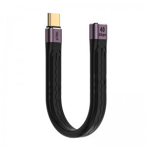 FPC4002  Short USB-C Cable Support Thunderbolt 4/3,USB 4, PD 100W Quick Charge,8K 4K Display,40Gbps Data Transfer Sync.